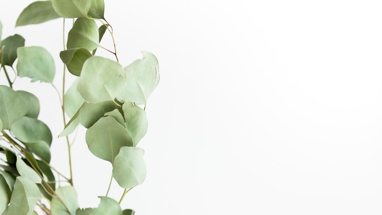 'We Feel Manipulated And Scared': Working In A Care Home During The Covid-19 Crisis