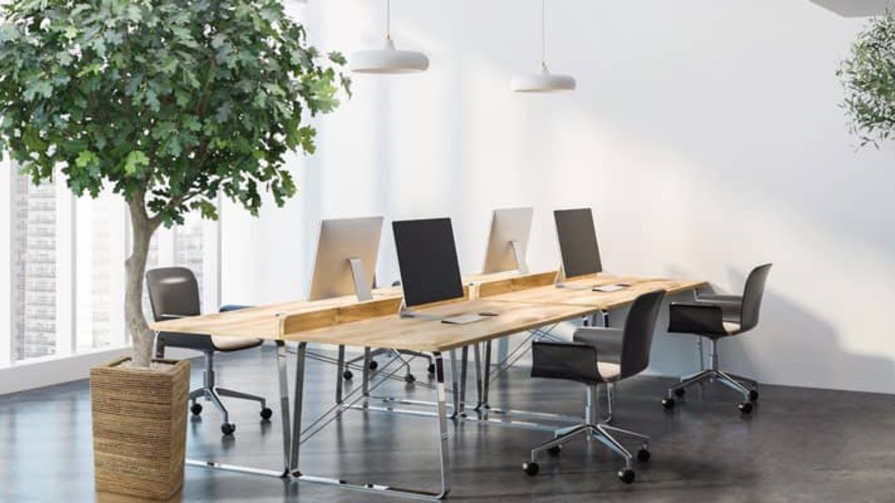 Designing a Peaceful Retreat: The Use of Artificial Plants in Office Environment